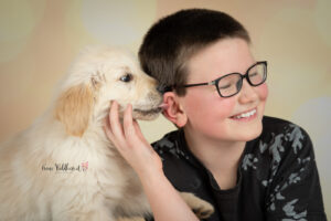 Hundeshooting im Studio
