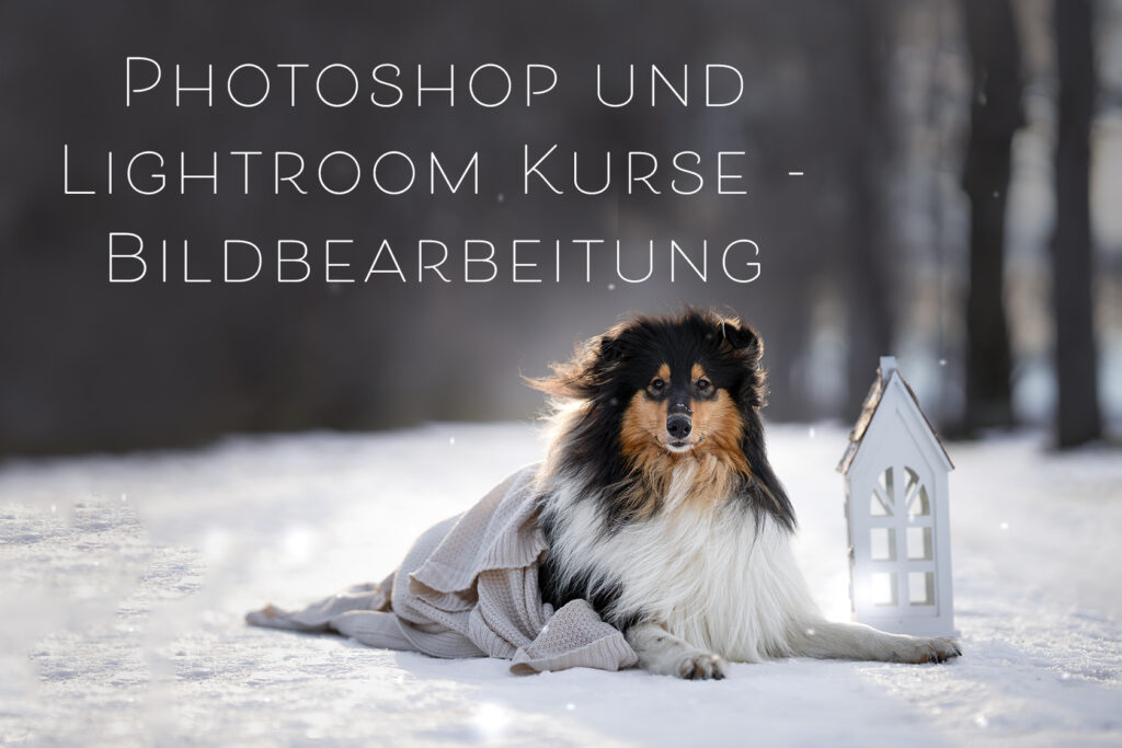 Photoshop und Lightroom Kurse