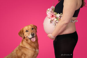Babybauchshooting mit Hund