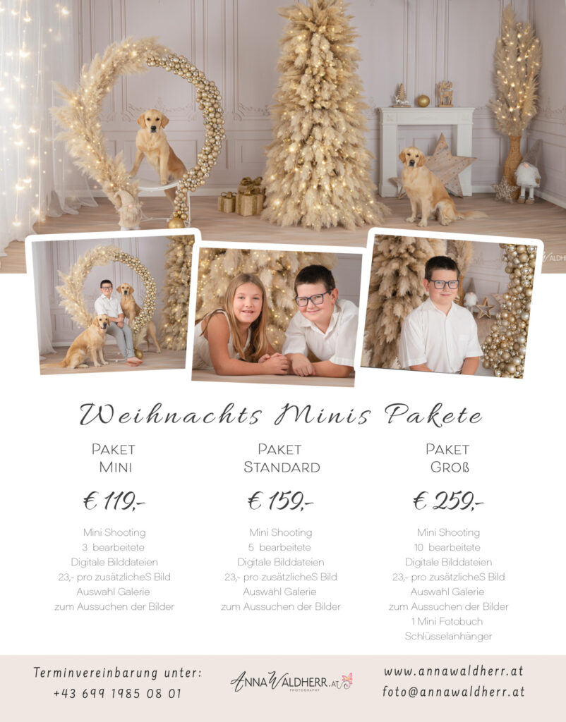 Weihnachtsaktion 2024