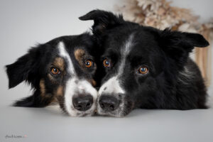 Ostershootings 2025, Osteraktion 2025, Osterfotoshooting
