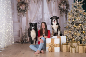 Weihnachts Shooting Aktion Wiener Neustadt, Baden