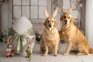 Oster Fotoshooting Aktion Baden und Wiener Neustadt