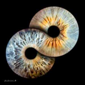 Iris-Collage mit drei Augen als individuelles Kunstwerk – professionelle Irisfotografie von Anna Waldherr