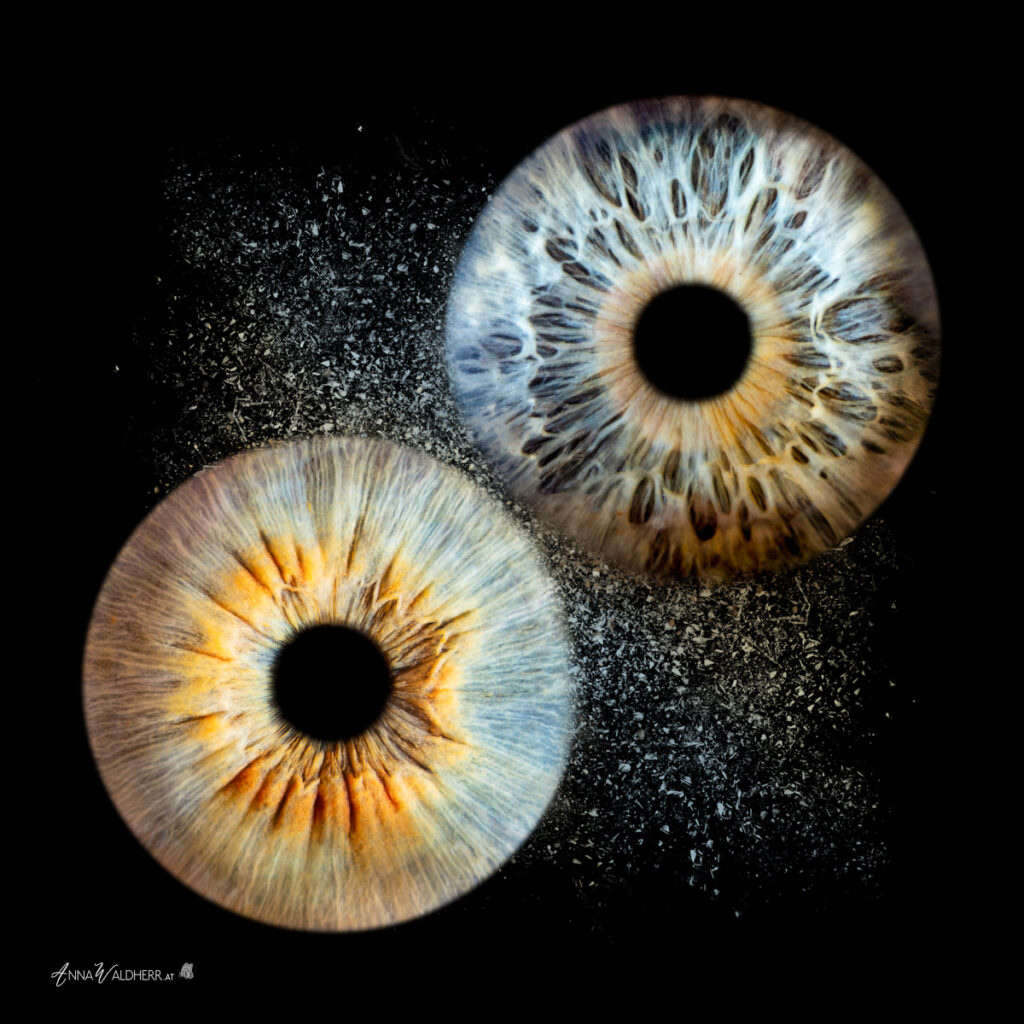 Iris-Collage mit drei Augen als individuelles Kunstwerk – professionelle Irisfotografie von Anna Waldherr