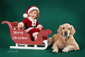 Weihnachtsshooting Fotograf in Wiener Neustadt – Weihnachts Foto Aktion für Kinder und Familien