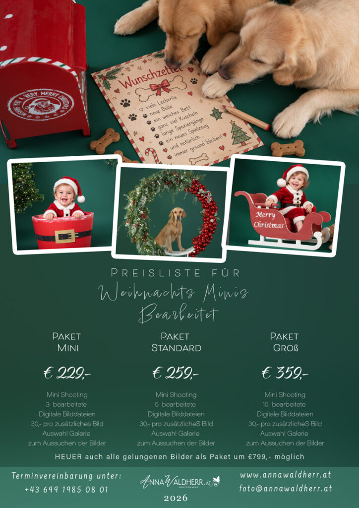 Weihnachts Foto Aktion 2026 beim Fotograf in Wiener Neustadt – Weihnachtsshooting für Kinder, Familien und Hunde